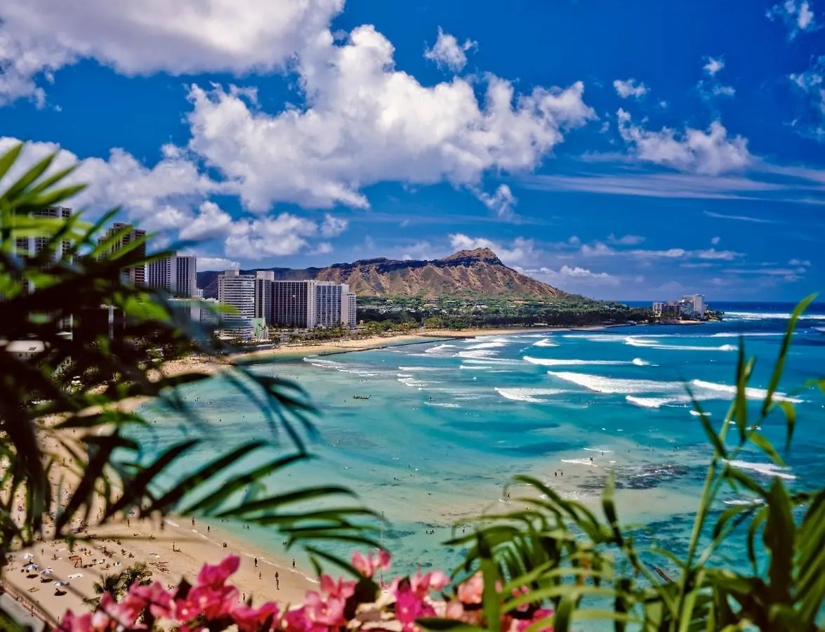 호놀룰루 Diamond Head View At Waikiki Sunset With Parking 아파트